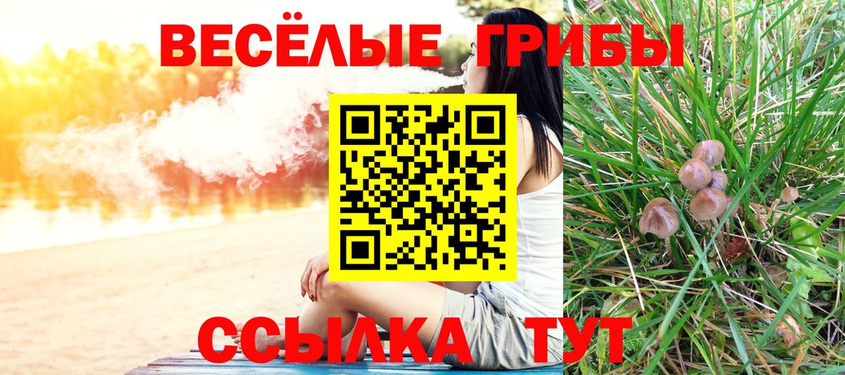 Галлюциногенные грибы прущие грибы  Вход с VPN  Воронеж 